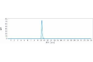 anti-DLL3 (Rovalpituzumab Biosimilar) antibody