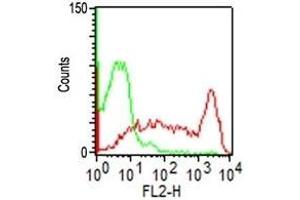 Flow Cytometry of hPBMC using CD45RO Monoclonal Antibody (UCHL-1). (CD45 Antikörper)