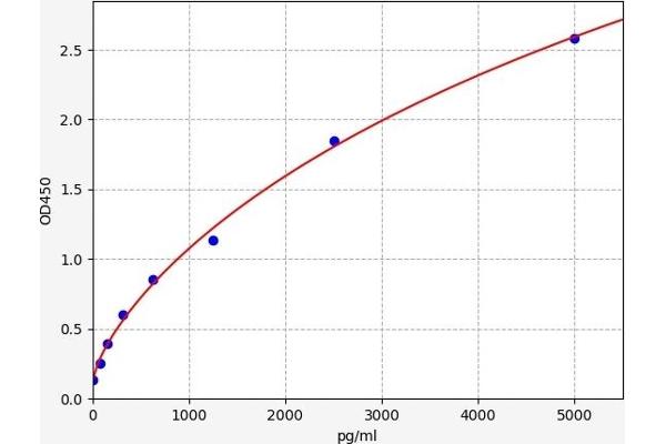 CD300LB ELISA Kit