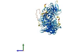 Protein Structure (PS) image for Advillin (AVIL) (AA 1-819) protein (His tag) (ABIN7552592)