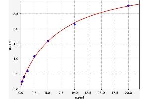 Dynamin 1 ELISA Kit