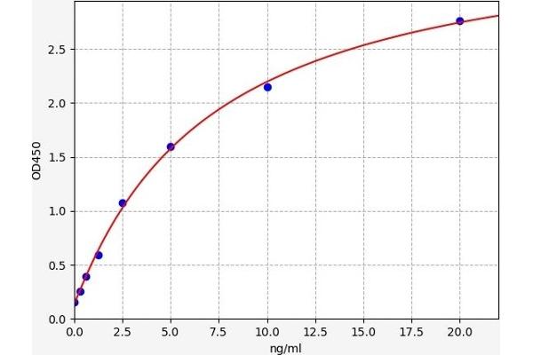 Dynamin 1 ELISA Kit