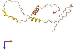 AlphaFold protein structure predicition of Human Recombinant SMCR5 Protein, UniprotID Q8TEV8