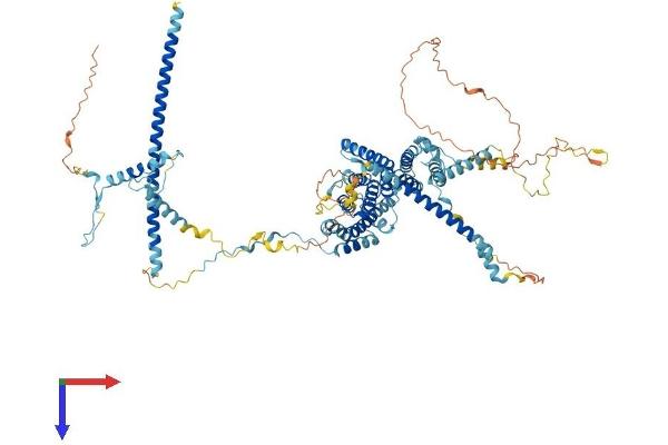 Nop14 Protein (AA 1-860) (His tag)