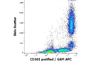 Flow cytometry surface staining pattern of human peripheral whole blood stained using anti-human CD361 (MEM-216) purified antibody (concentration in sample 4 μg/mL, GAM APC). (EVI2B Antikörper)