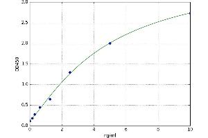 Dystrophin (DMD) ELISA Kit