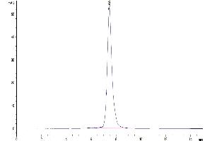 Size-exclusion chromatography-High Pressure Liquid Chromatography (SEC-HPLC) image for Prolactin Receptor (PRLR) (AA 25-235) protein (Fc Tag) (ABIN7275467)