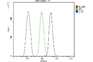 Flow Cytometry analysis of HEPA1-6 cells using anti-Clathrin heavy chain/CLTC antibody (ABIN7602704). (Clathrin Heavy Chain (CLTC) (AA 967-1668) Antikörper)