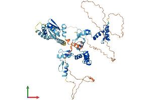 AlphaFold protein structure predicition of Mouse Recombinant Mynn Protein, UniprotID Q99MD8 (Myoneurin Protein (MYNN) (AA 1-610) (His tag))