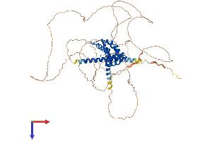 AlphaFold protein structure predicition of Human Recombinant ENTHD1 Protein, UniprotID Q8IYW4