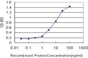 Detection limit for recombinant GST tagged FHL1 is approximately 0.