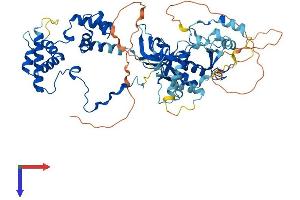 MTA3 Protein (AA 1-594) (His tag)