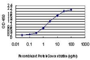 Detection limit for recombinant GST tagged CDK8 is approximately 0. (CDK8 Antikörper  (AA 375-464))