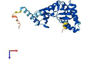 TP53RK Protein (AA 1-253) (His tag)