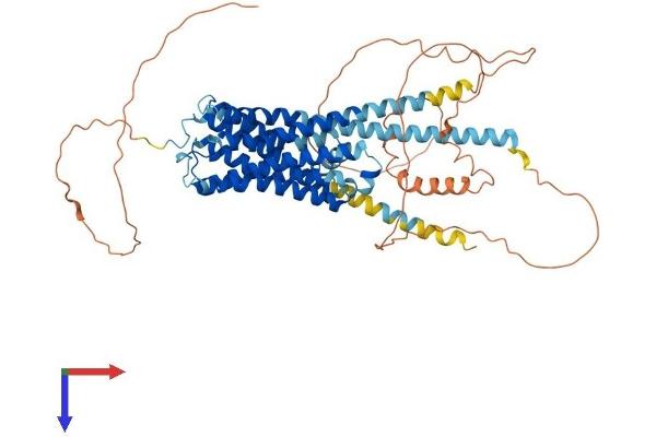 CHRM3 Protein (AA 1-590) (His tag)