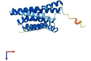 SLC50A1 Protein (AA 1-221) (His tag)