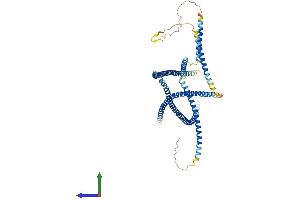 Protein Structure (PS) image for Janus Kinase and Microtubule Interacting Protein 1 (JAKMIP1) (AA 1-626) protein (His tag) (ABIN7548573)