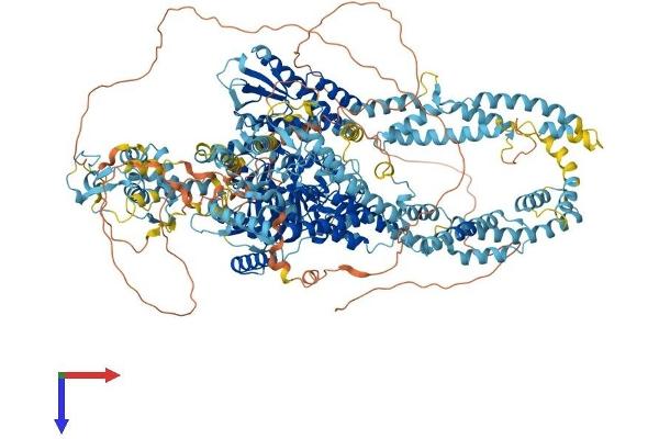 KDM5C Protein (AA 1-1560) (His tag)
