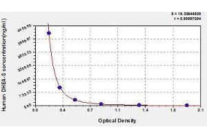 Typical standard curve (Dehydroepiandrosterone Sulfate ELISA Kit)