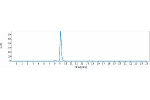 The purity of protein, determined by HPLC, is greater than 95 % . (Rekombinanter SLC39A6 Antikörper)