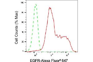 Flow cytometric analysis of EGFR expression in HepG2 cells using EGFR antibody (ABIN7798461), 1:2,000).