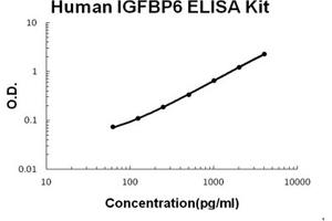Human IGFBP6 Accusignal ELISA Kit Human IGFBP6 AccuSignal ELISA Kit standard curve. (IGFBP6 ELISA Kit)