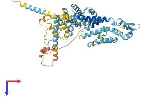 PSMD3 Protein (AA 1-534) (His tag)