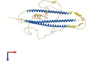 NEDD4 Binding Protein 3 (N4BP3) (AA 1-537) protein (His tag)