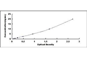 VDAC1 ELISA Kit