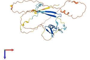 ZGLP1 Protein (AA 1-271) (His tag)