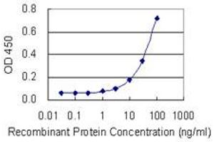 Detection limit for recombinant GST tagged EIF2C2 is 1 ng/ml as a capture antibody. (AGO2 Antikörper  (AA 1-377))