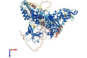 RAPGEF3 Protein (AA 1-923) (His tag)
