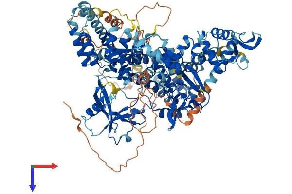 RAPGEF3 Protein (AA 1-923) (His tag)