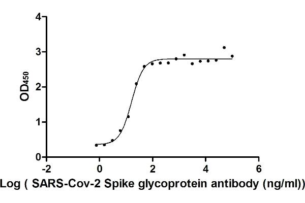 Rekombinanter SARS-CoV-2 Spike S1 Antikörper