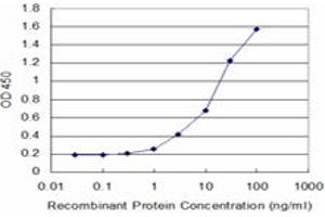 Detection limit for recombinant GST tagged DCK is approximately 1ng/ml as a capture antibody. (DCK Antikörper  (AA 161-260))