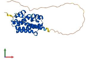 Protein Structure (PS) image for Heme Oxygenase (Decycling) 1 (HMOX1) (AA 1-288) protein (His tag) (ABIN7548310)