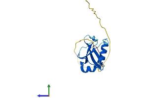 Protein Structure (PS) image for Autophagy Related 12 (ATG12) (AA 1-141) protein (His tag) (ABIN7560588)