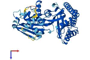MVK Protein (AA 1-395) (His tag)