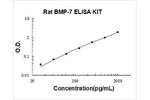 Bone Morphogenetic Protein 7 (BMP7) ELISA Kit