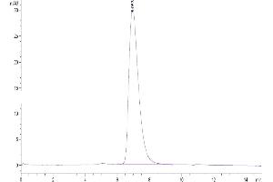 The purity of Human TNFR2 is greater than 90 % as determined by SEC-HPLC. (TNFRSF1B Protein (AA 23-257) (His tag))