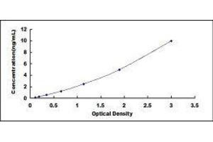 ELISA image for Prolactin (PRL) ELISA Kit (ABIN415572)