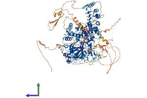 Protein Structure (PS) image for Lysine (K)-Specific Demethylase 2A (KDM2A) (AA 1-1161) protein (His tag) (ABIN7563486)