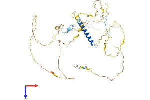 PSRC1 Protein (AA 1-363) (His tag)