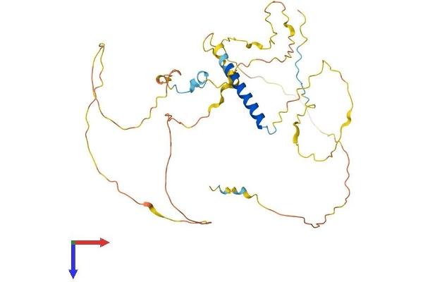 PSRC1 Protein (AA 1-363) (His tag)