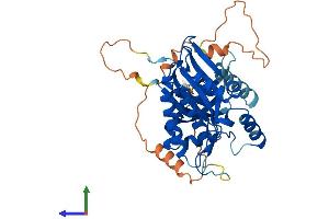 AlphaFold protein structure predicition of Mouse Recombinant Ip6k3 Protein, UniprotID Q8BWD2