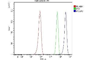 Flow Cytometry analysis of Hela cells using anti-hnRNP E2/PCBP2 antibody (ABIN7599983). (PCBP2 Antikörper  (AA 136-276))