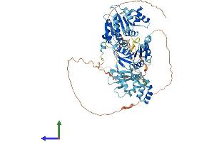 Protein Structure (PS) image for DEAD (Asp-Glu-Ala-Asp) Box Polypeptide 50 (DDX50) (AA 1-734) protein (His tag) (ABIN7560409)
