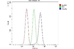 Flow Cytometry analysis of U87 cells using anti-Presenilin 2/AD5/PSEN2 antibody (ABIN7602796).