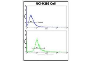 Flow Cytometric analysis of NCI-H292 cells using DCXR Antibody (Center) Cat. (DCXR Antikörper  (Middle Region))