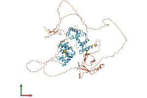 Protein Structure (PS) image for Cyclin D Binding Myb-Like Transcription Factor 1 (DMTF1) (AA 1-761) protein (His tag) (ABIN7564551)